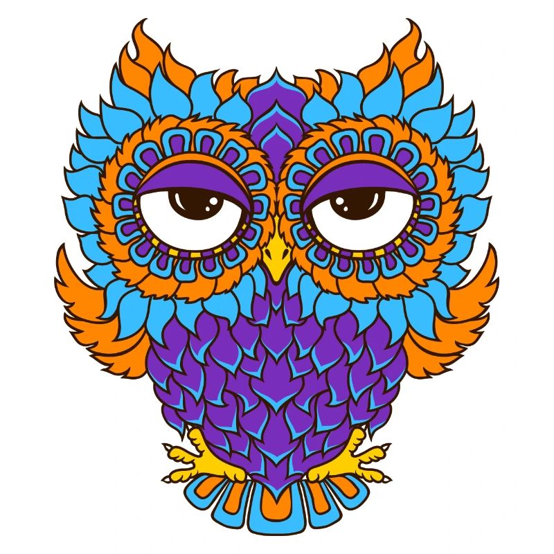 farbenfrohe Eule in Mandala - Optik