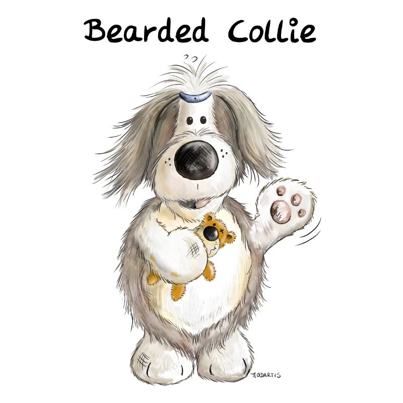 Bearded Collie mit Teddy