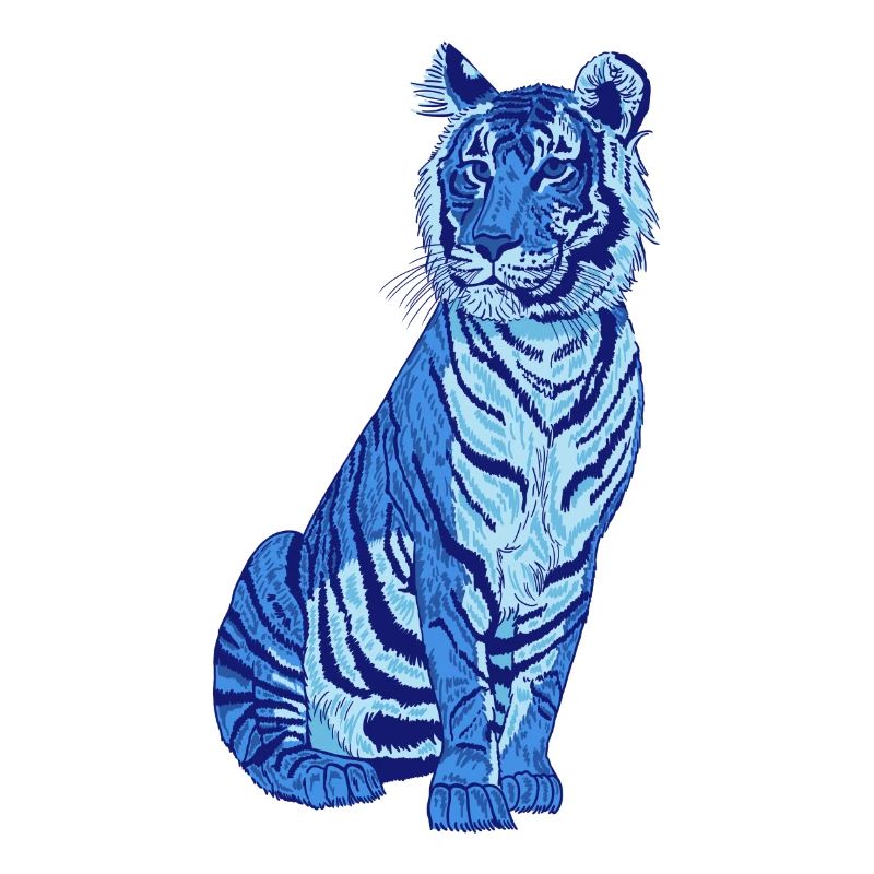 Tiger blue