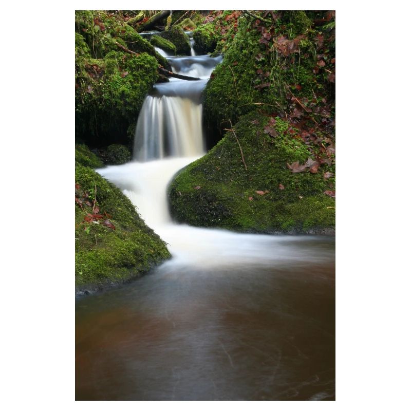 Motif de la cascade de Mooswald