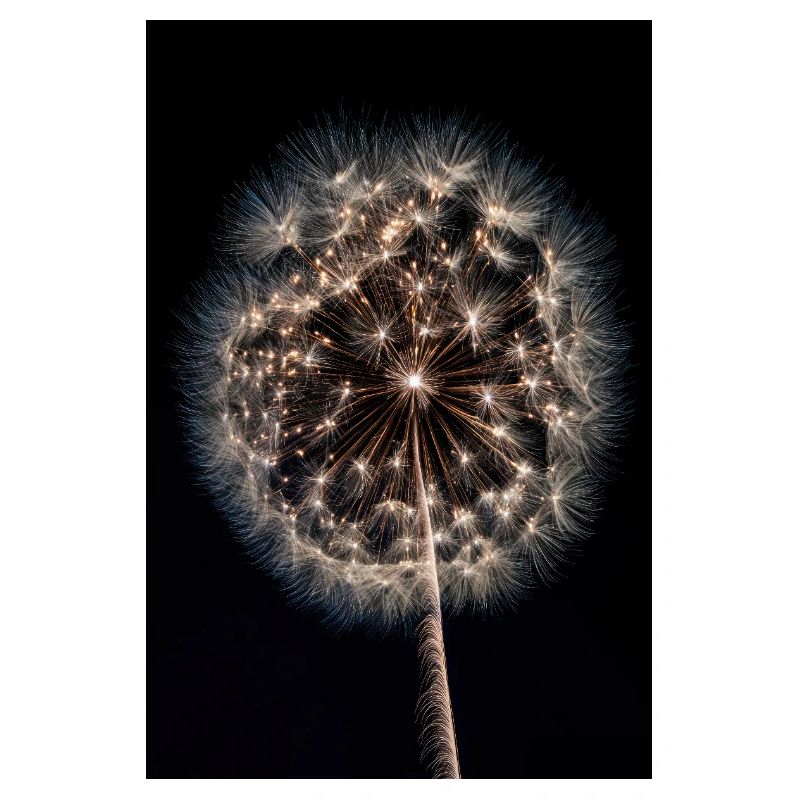 Luminous Dandelion Firework