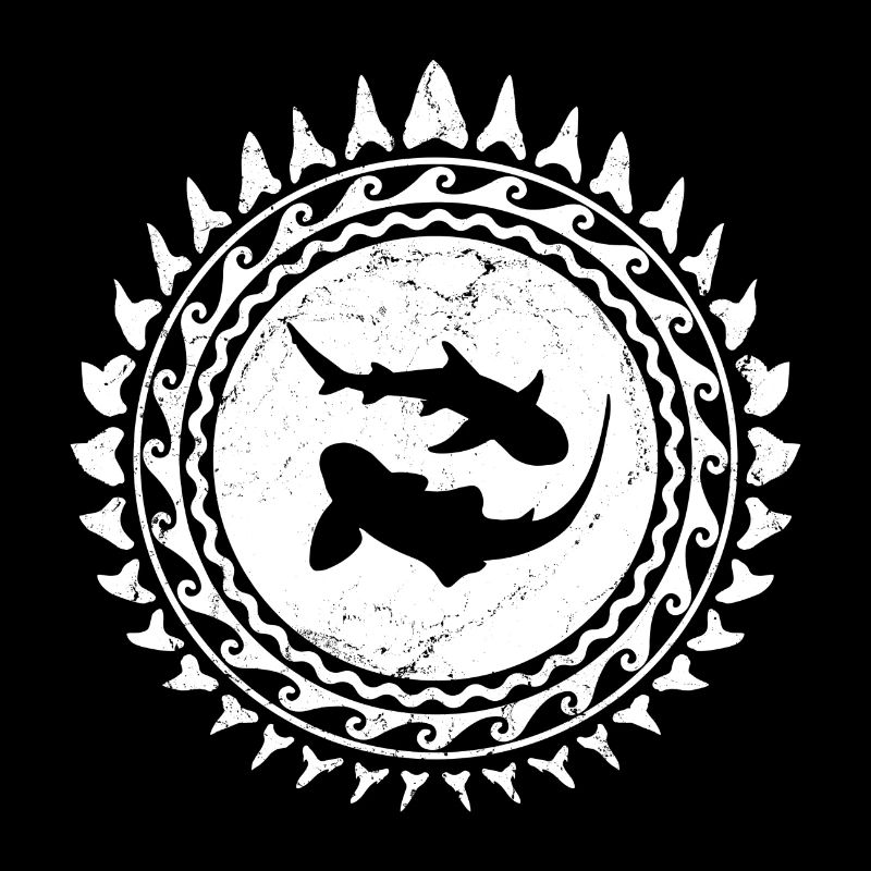 Zebra shark
