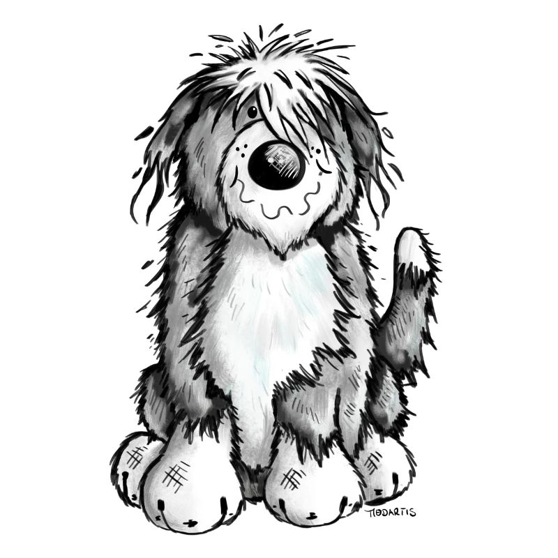 Cute Bearded Collie