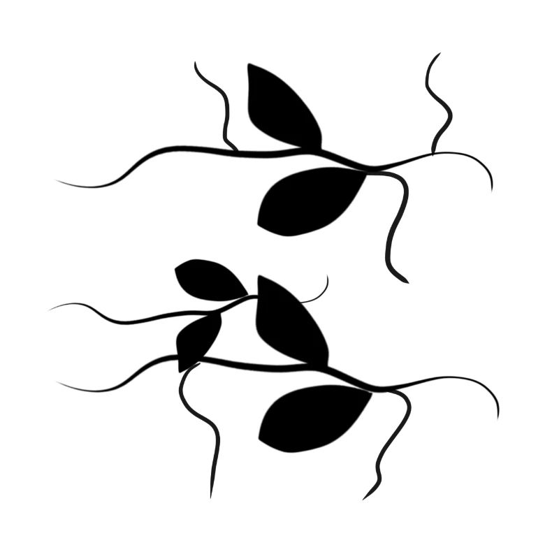branches plant leaves pattern