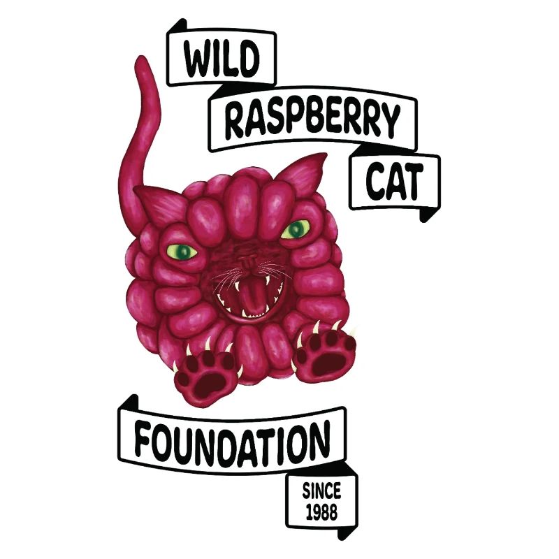 Raspberry le chat