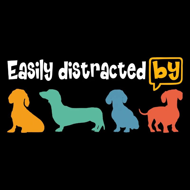 Enthousiaste à propos du teckel, facilement distrait par le teckel