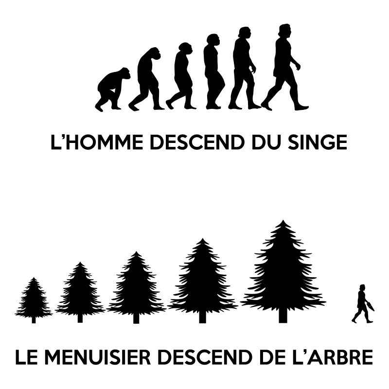 Evolution du menuisier
