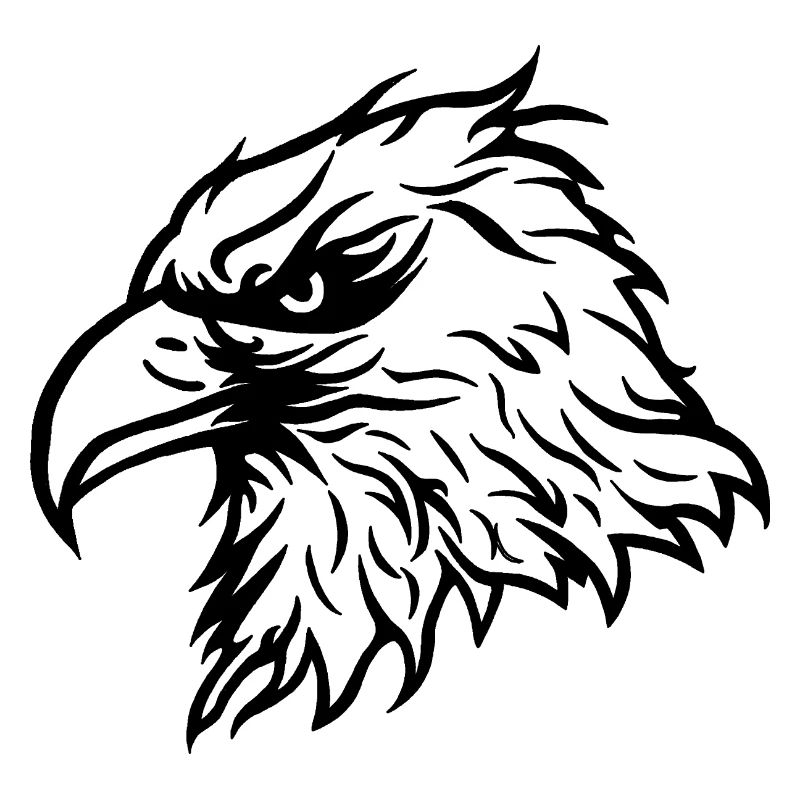 Cool Bald Eagle Eagle