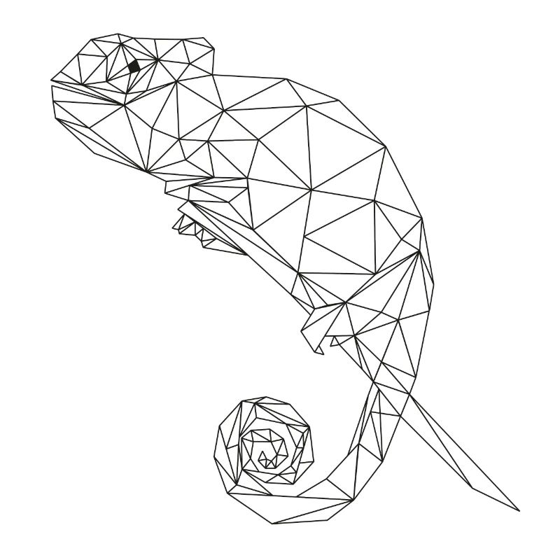 Chamäleon Chamaeleon Cham