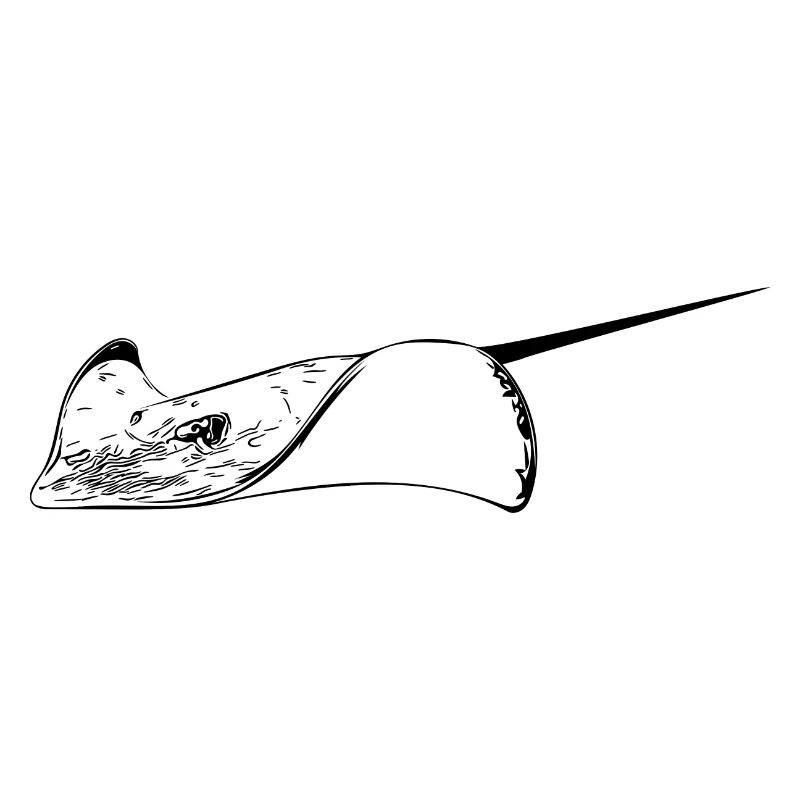 Stingrays in elegant flight