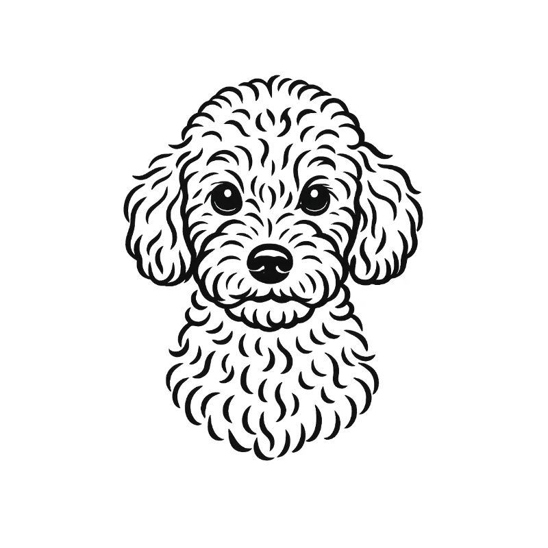 TinyPaws Black & White Edition Pudel Style b