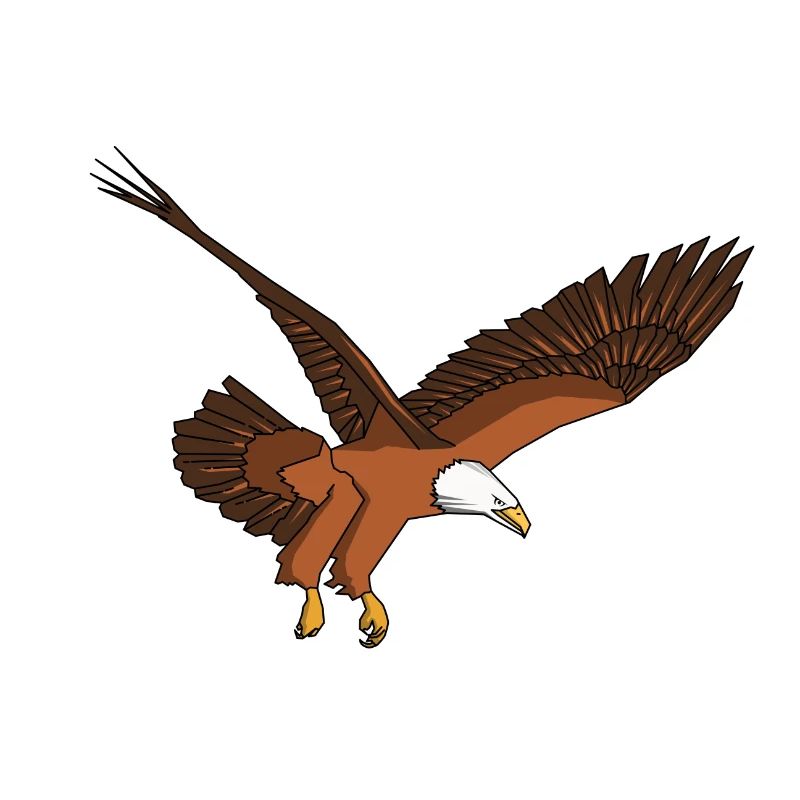 Eagle Eagle Bald Eagle