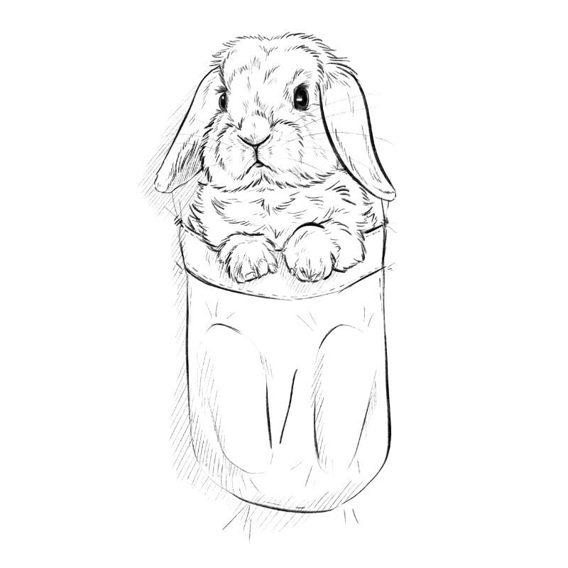 Ram Rabbit in Bag