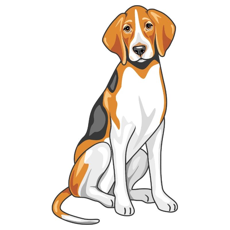 Sitzender Foxhound