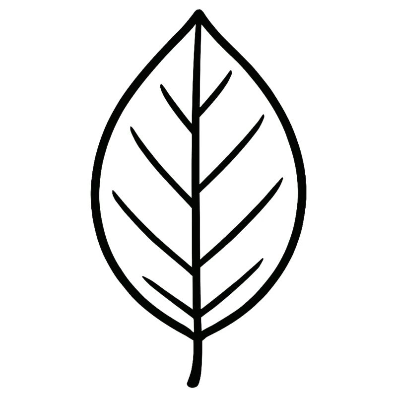 Conception minimaliste Leaf