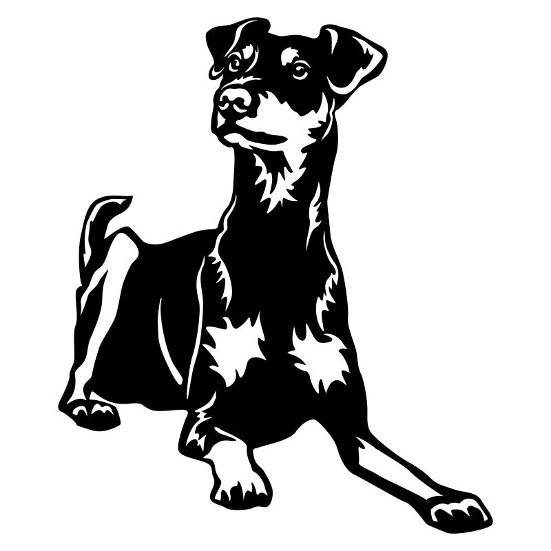 German Pinscher