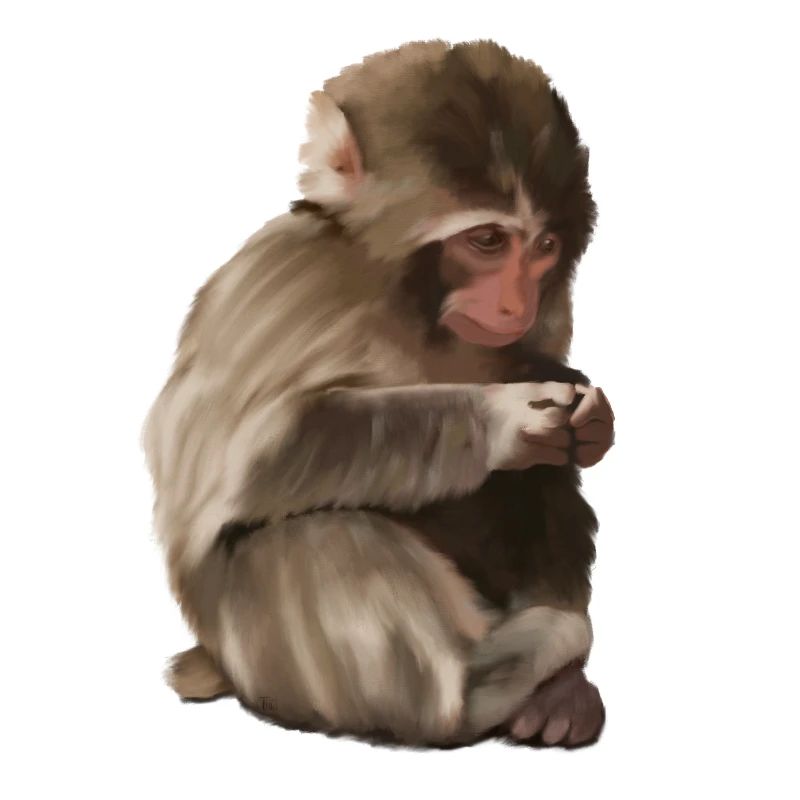 Punch - the lonely monkey