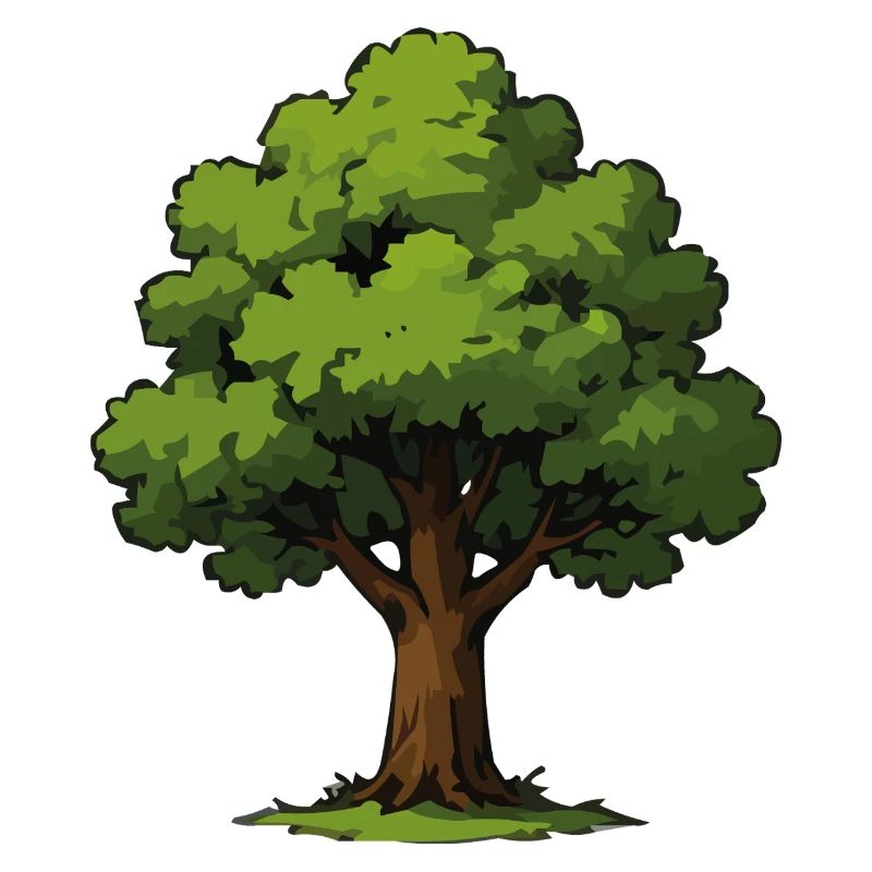 Tree illustration