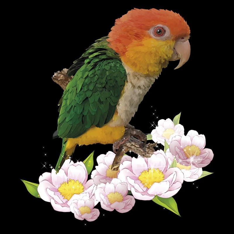 Der orangeköpfige Caique