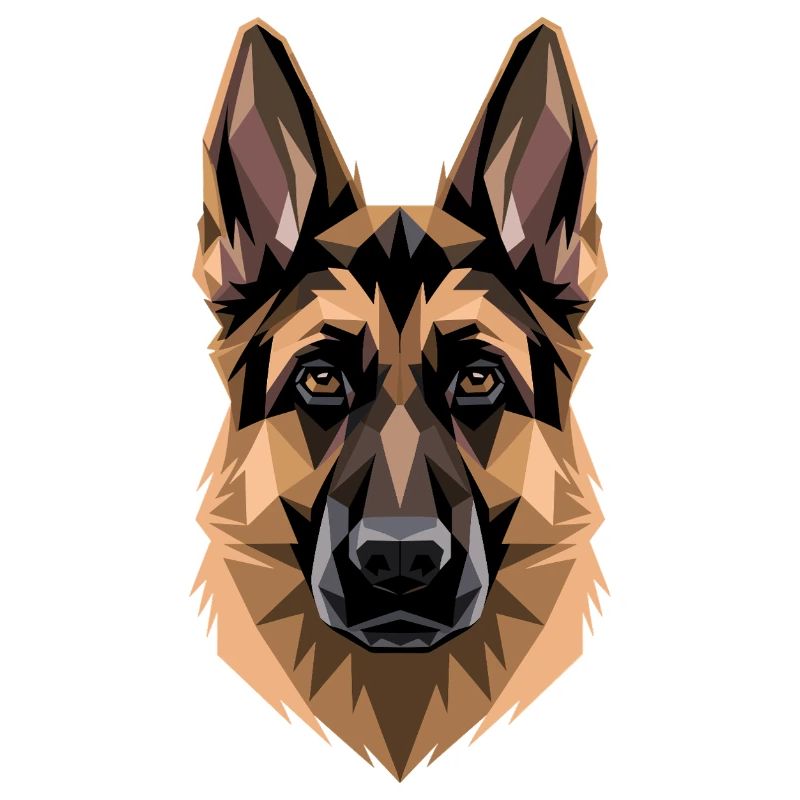 Schäferhund Hund Liebe Deutscher Schäferhund Hunde
