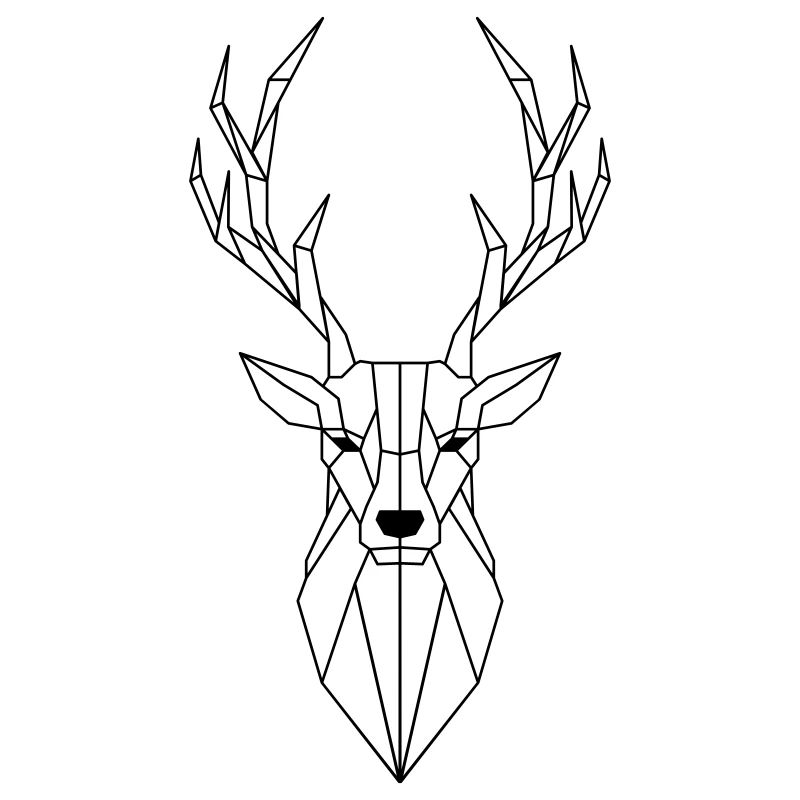Polygone de cerf