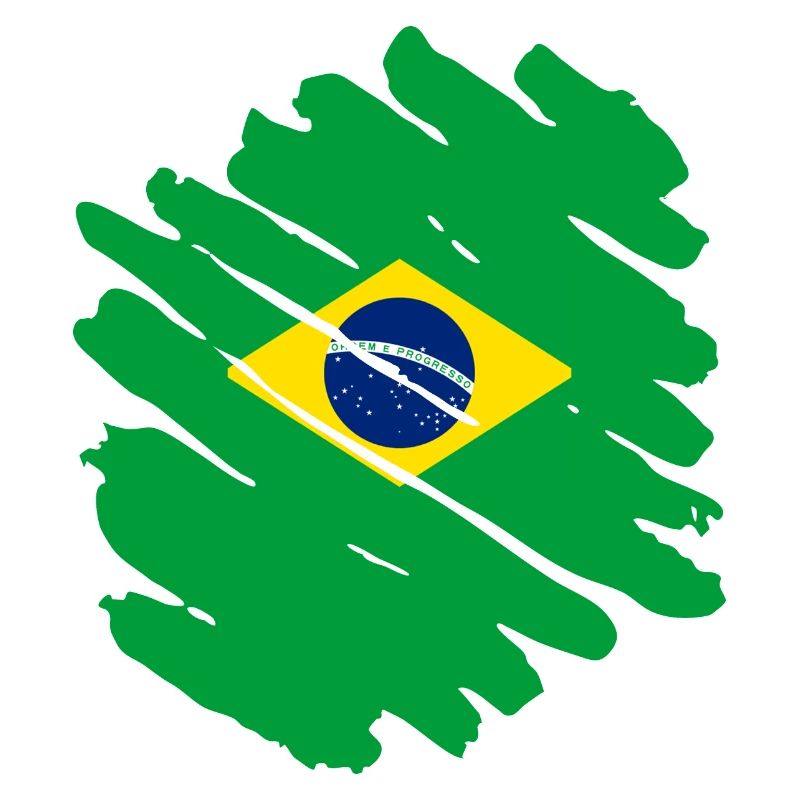 Drapeau du Brésil Drapeau de l’Amérique du Sud