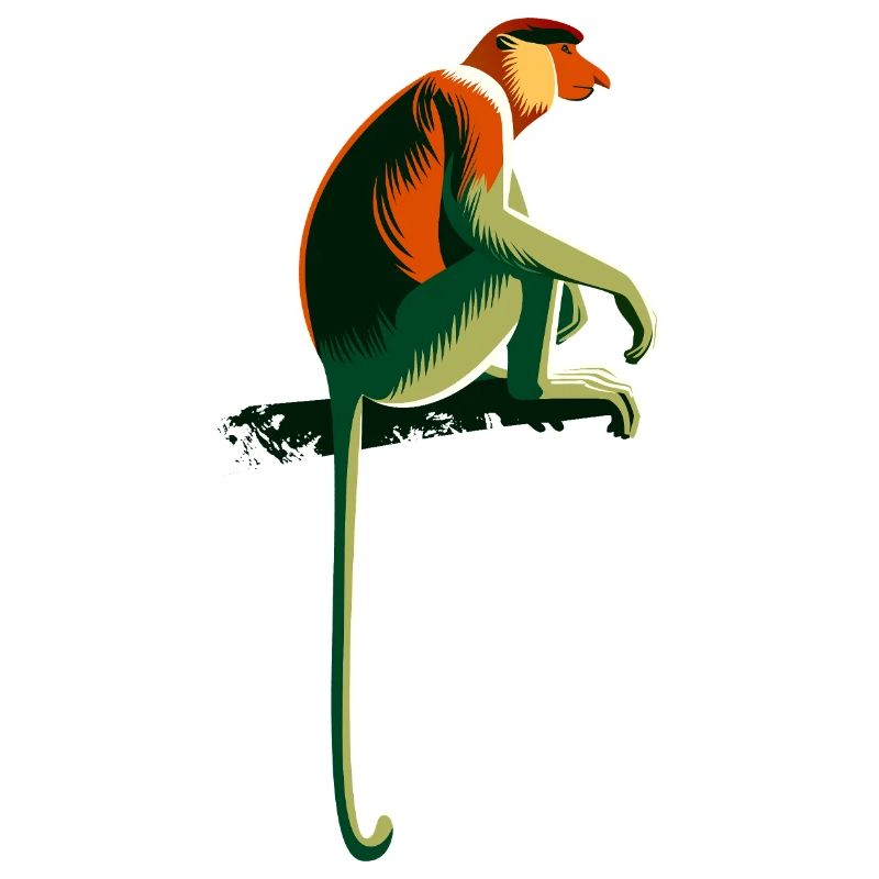 Proboscis monkey