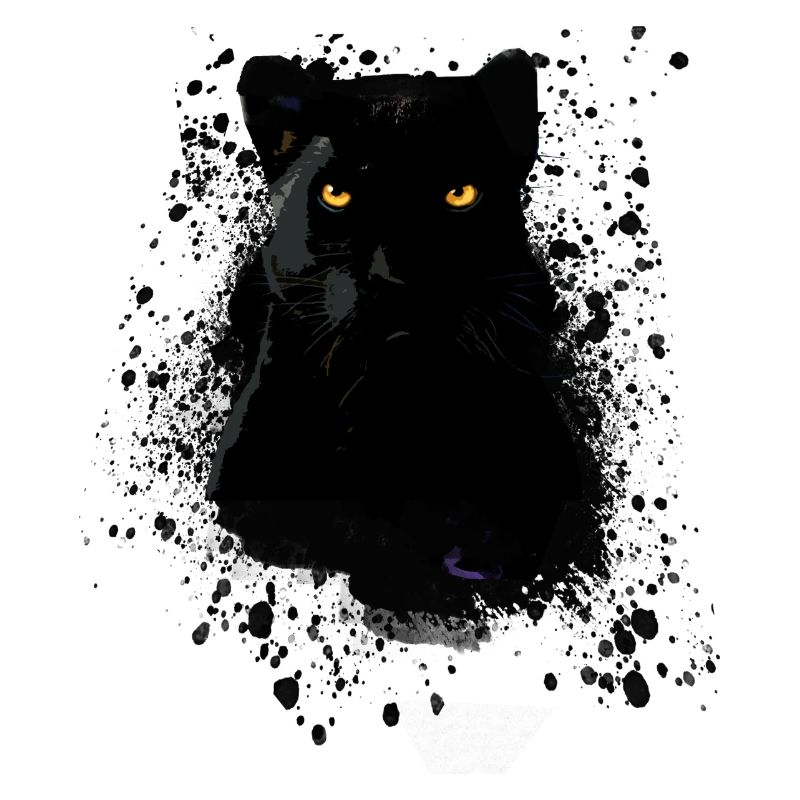 panthère noire, panthère, chat, emo, punk, graffiti