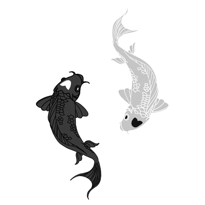 Poisson Koi