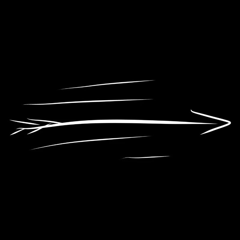 fast arrow