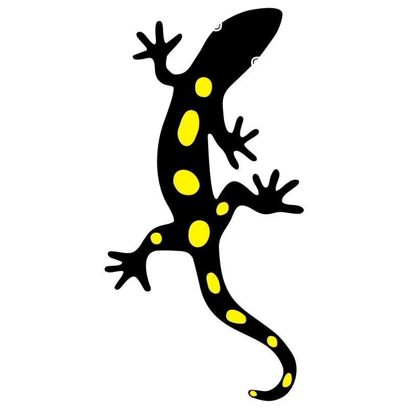 Lizard Salamander Gecko Fire Salamander