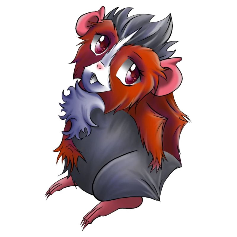 Cochon d’Inde Luise