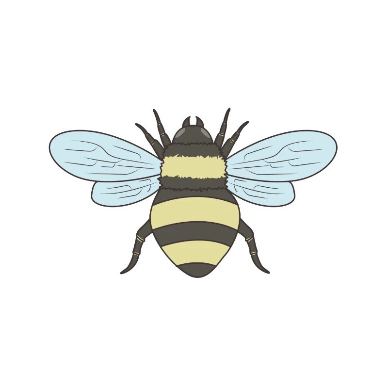 Abeille