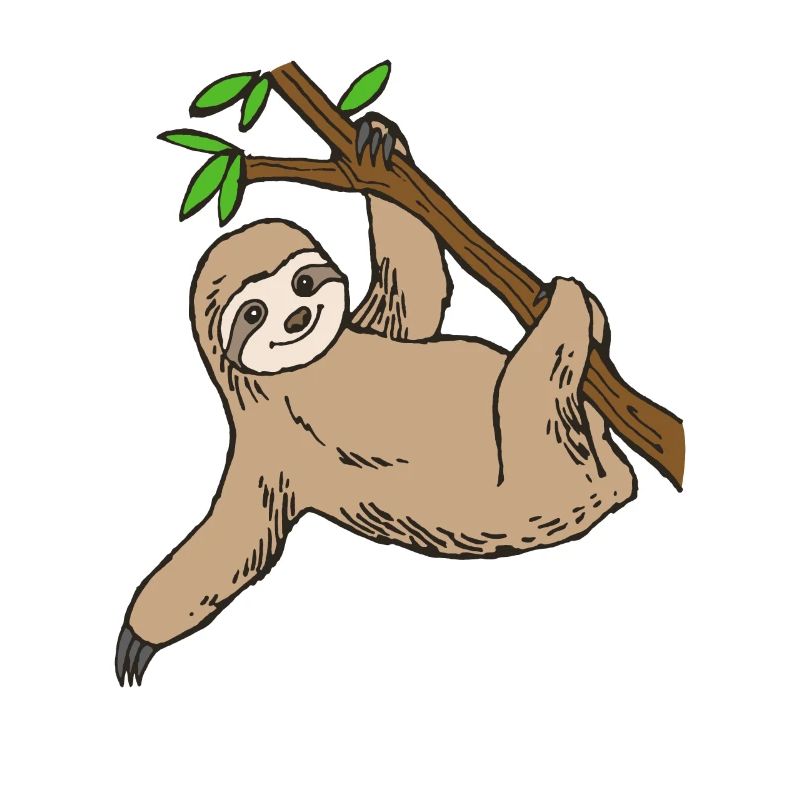 sloth