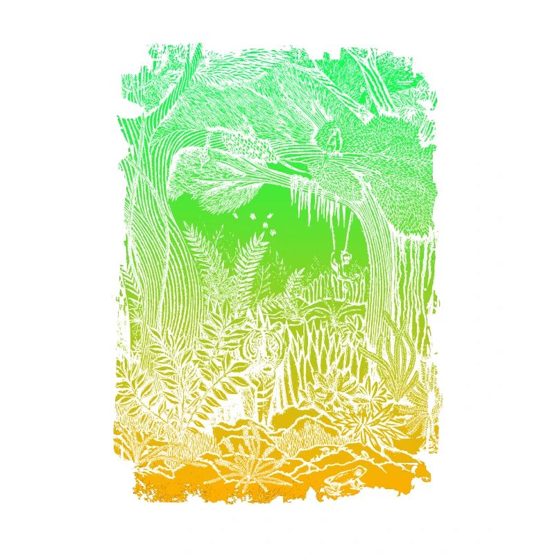 Jungle Rainforest Conservation Amazon