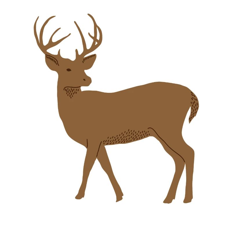 Cerf