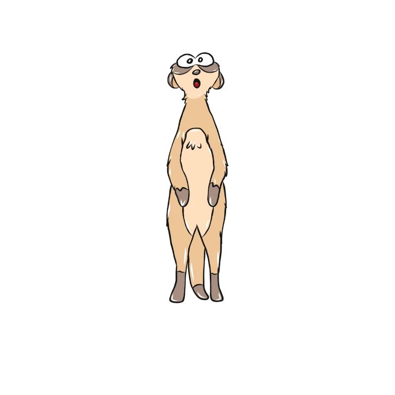 suricates