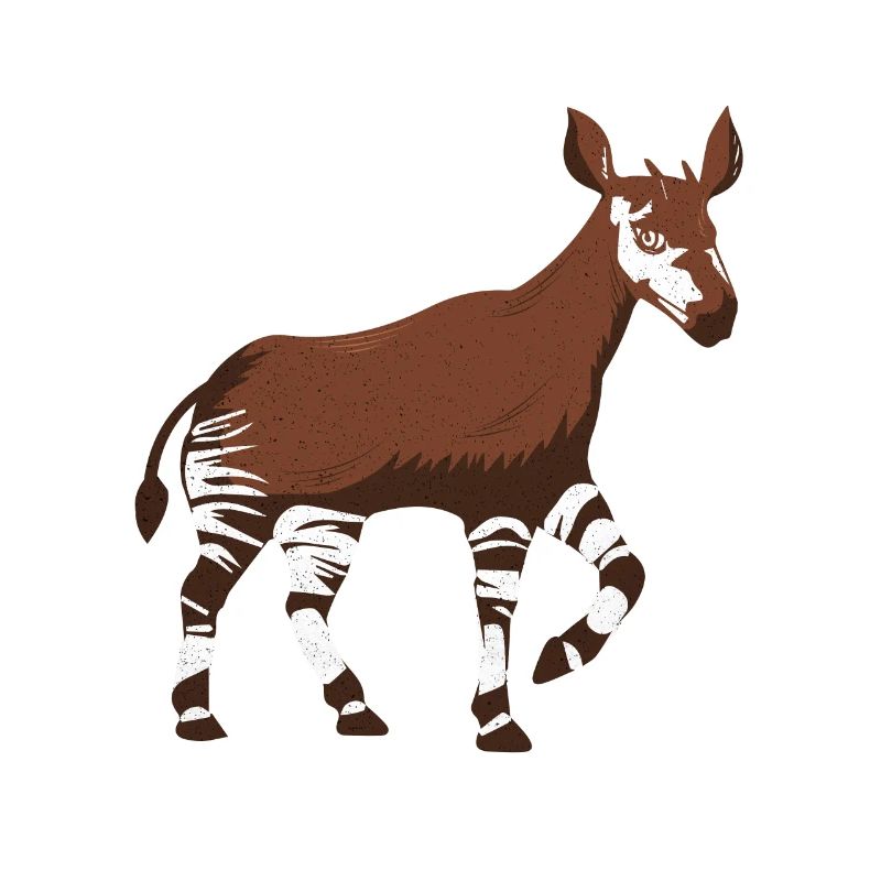 Okapi