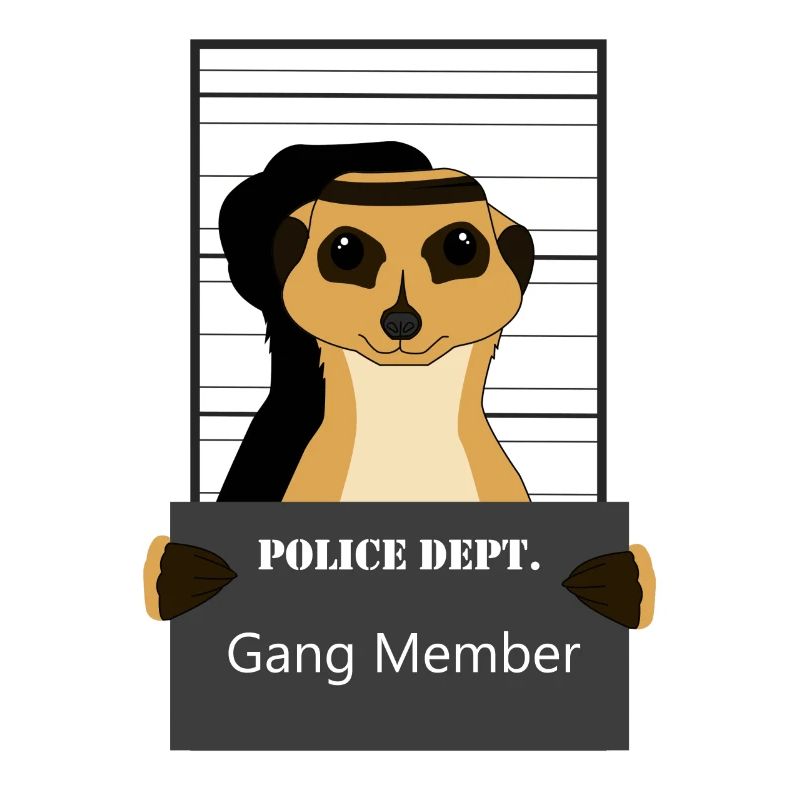 Erdmännchen, Erdmännchen Mungo, Erdmännchen relax