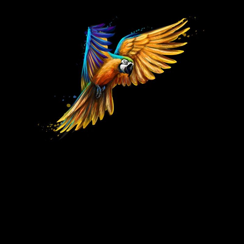 Macaw