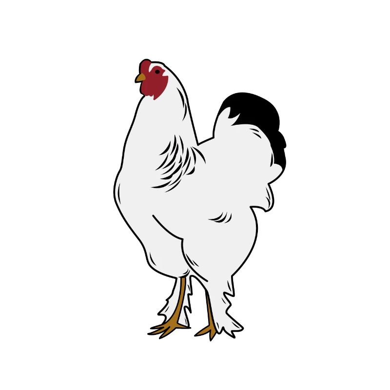 Brahma Rooster Chicken Funny Farmer Chicken