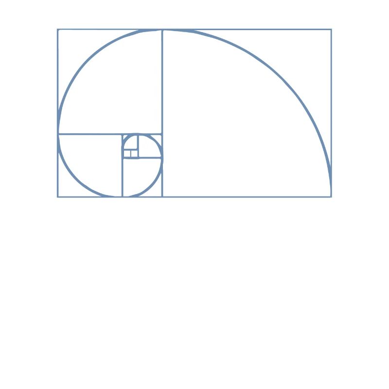 Fibonacci Tshirt