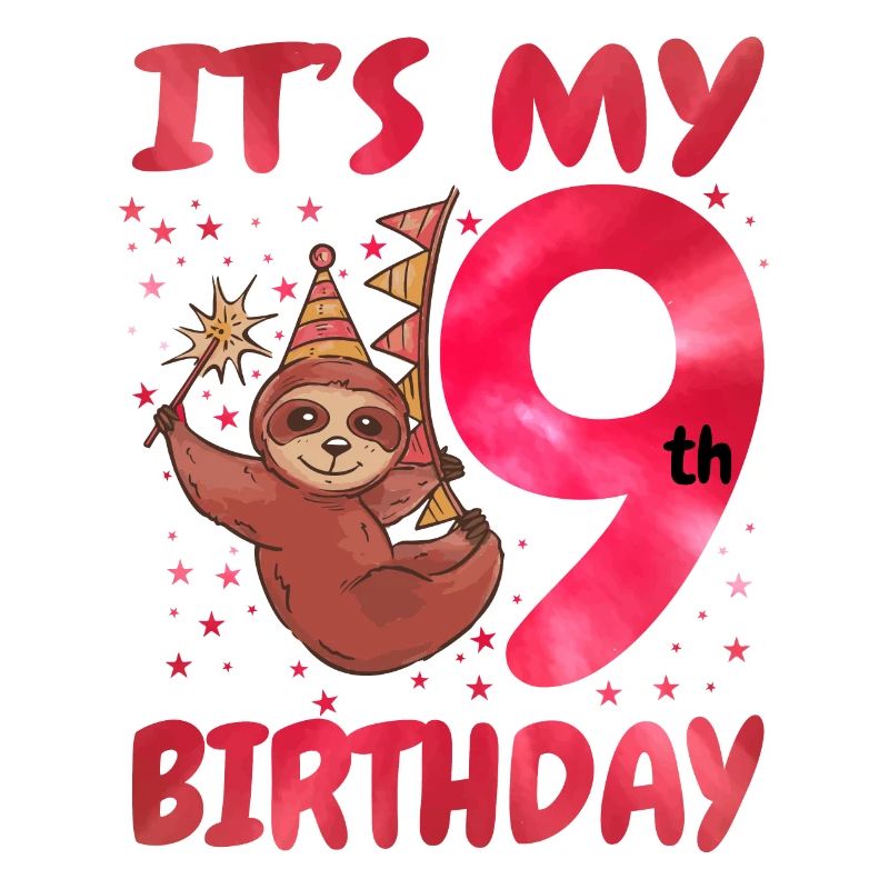 9th Birthday Cute Sloth Party Hat Theme