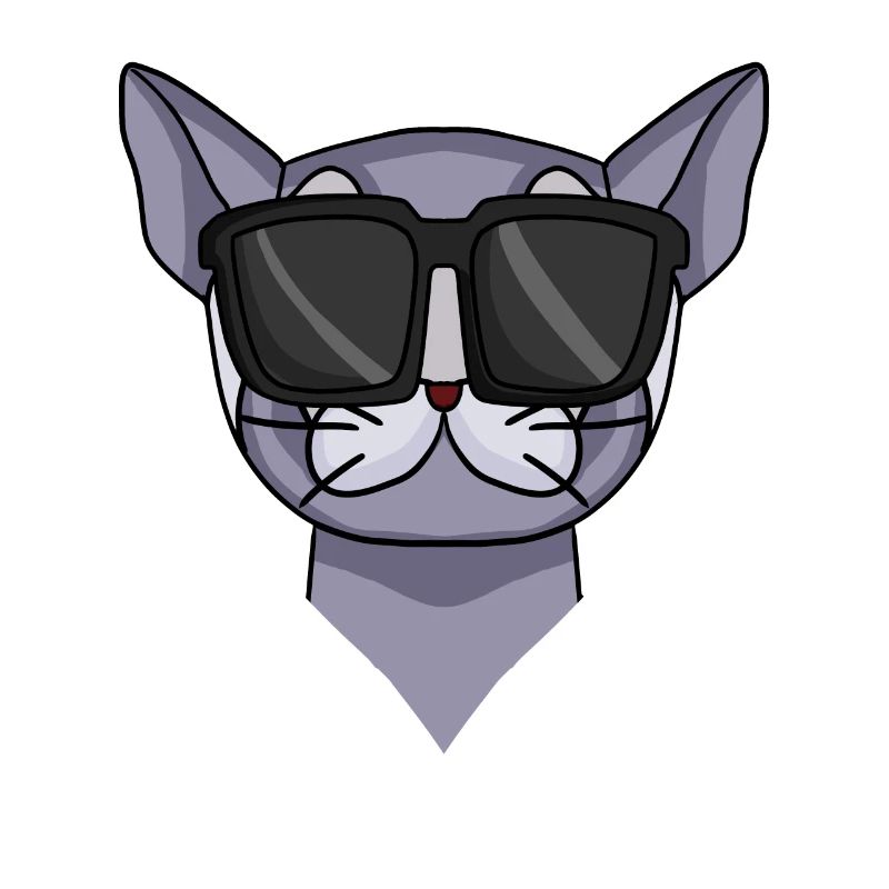 Britisch Kurzhaar Katze mit Sonnenbrille