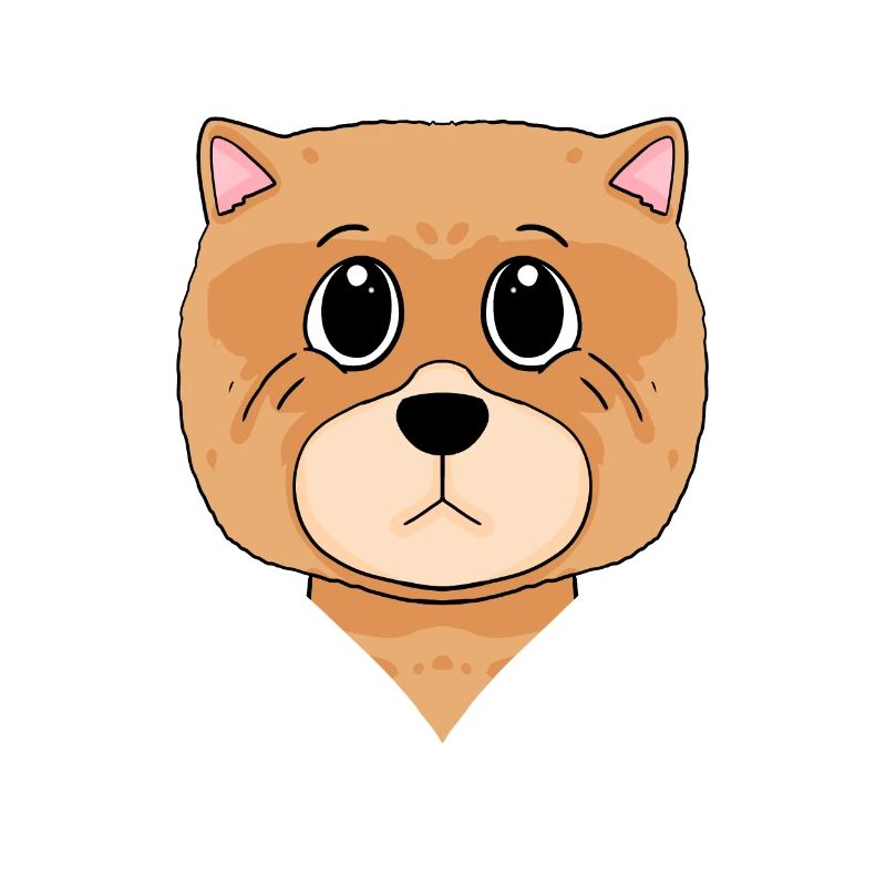 Chow Chow Dog Dog