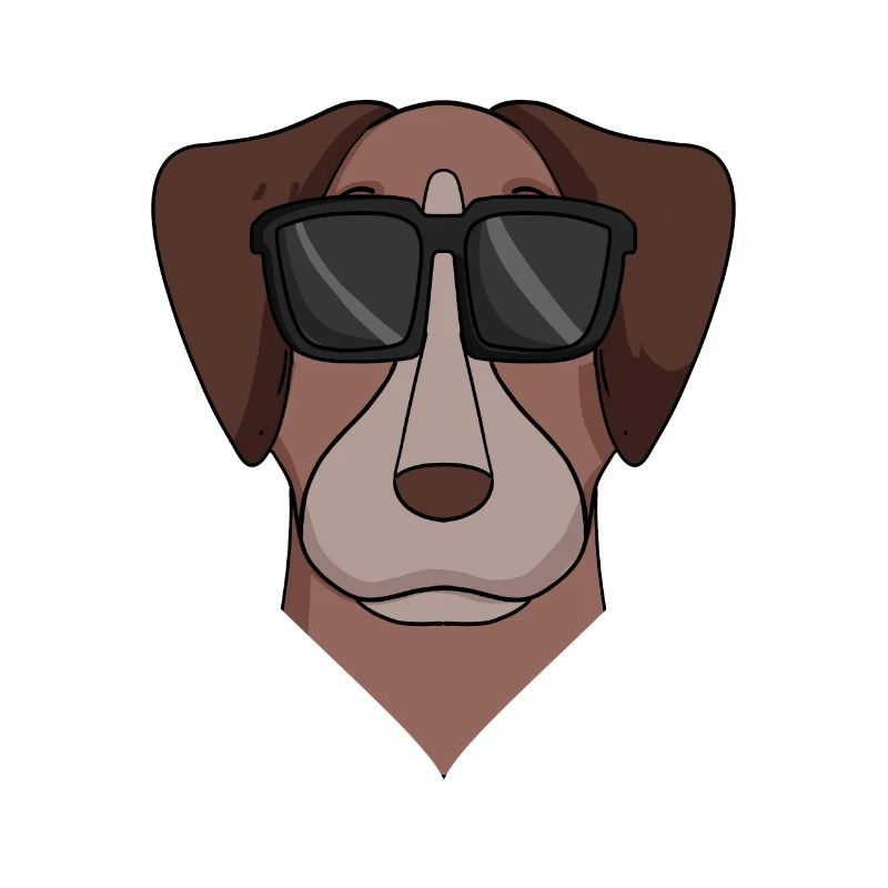 Pointer Dog Dog