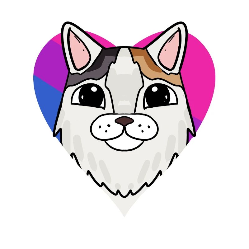Bisexuell Türkisch Van Katze Geschenk