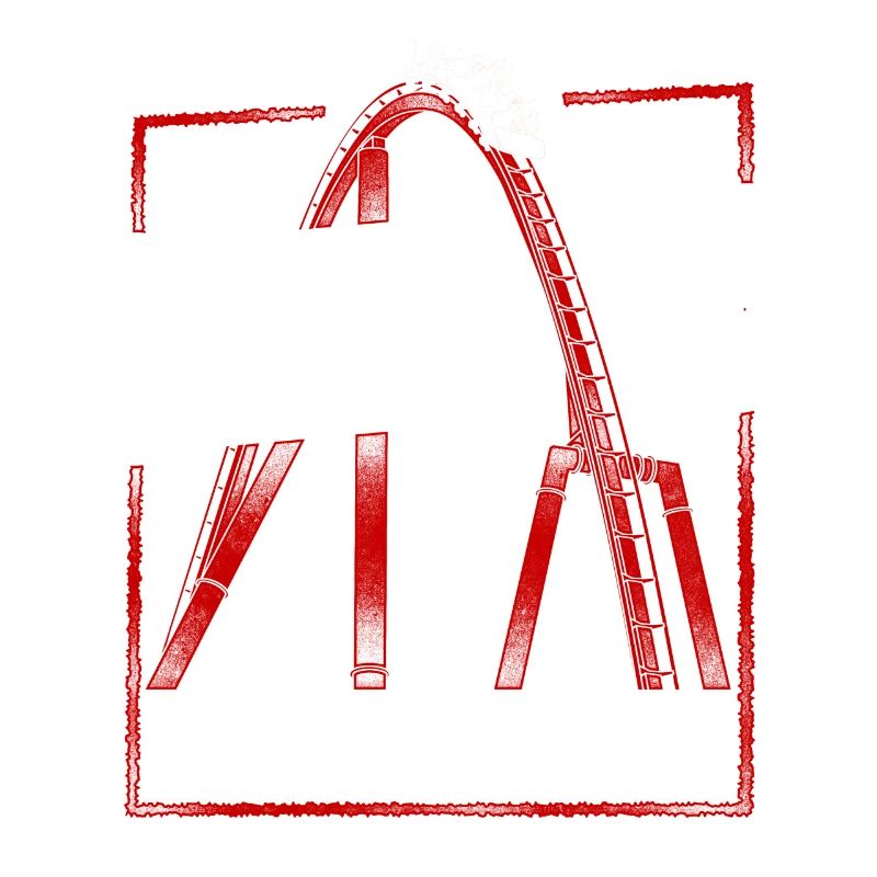 Roller Coaster Vintage Gravity