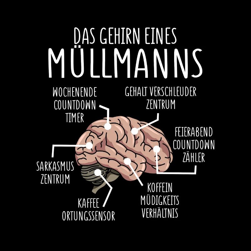 Anatomie Müllmann