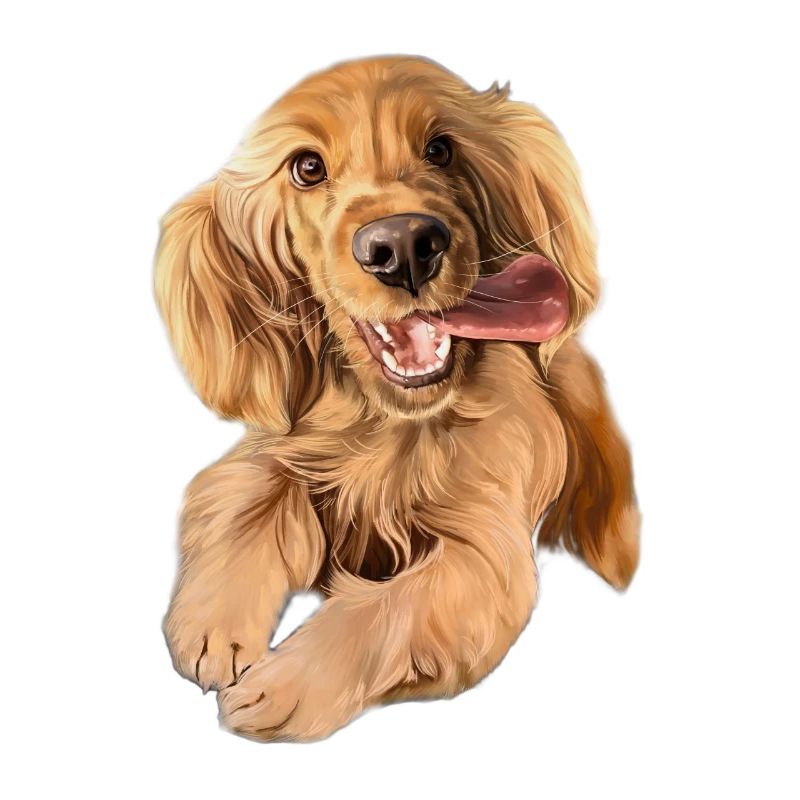 Springender Cocker Spaniel